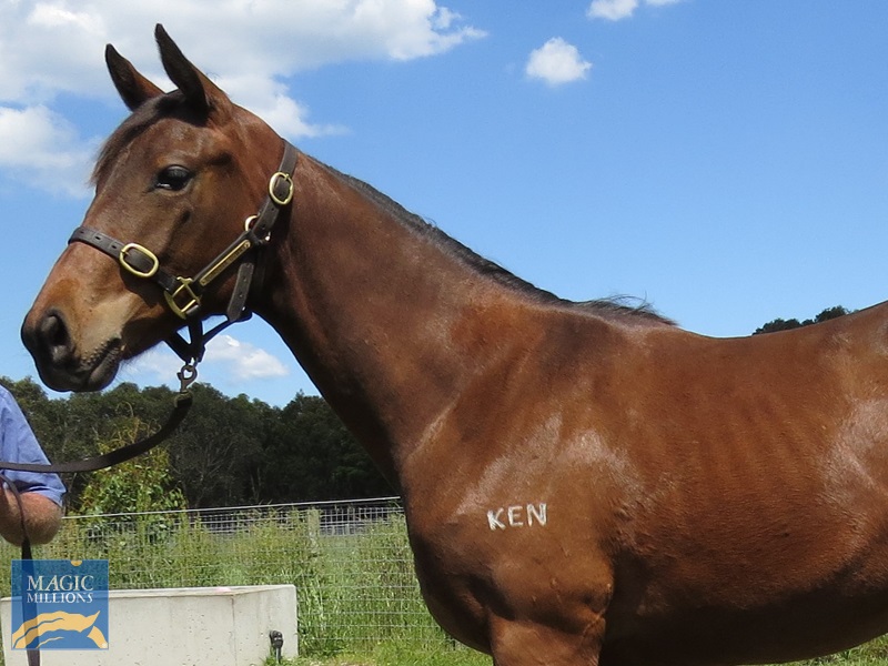 FP 21 H+S.jpg - Image 2