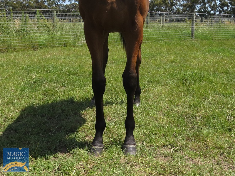 FP 21 Front.jpg - Image 3