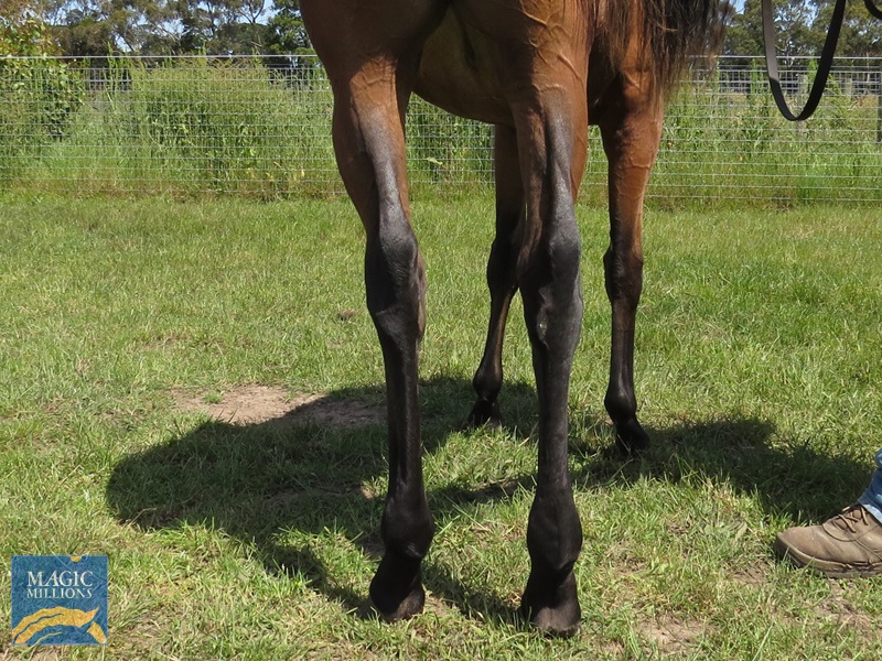 FP 21 Back.jpg - Image 4