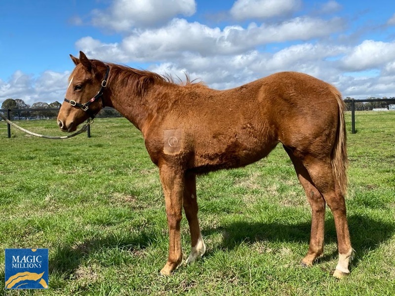 7228184.jpg - Image 1