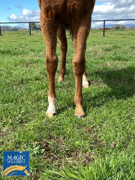 2206794.jpg - Image 2