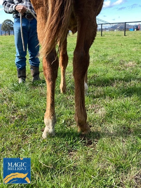 2259610.jpg - Image 3