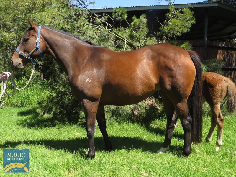 RDN Side.jpg - Image 1