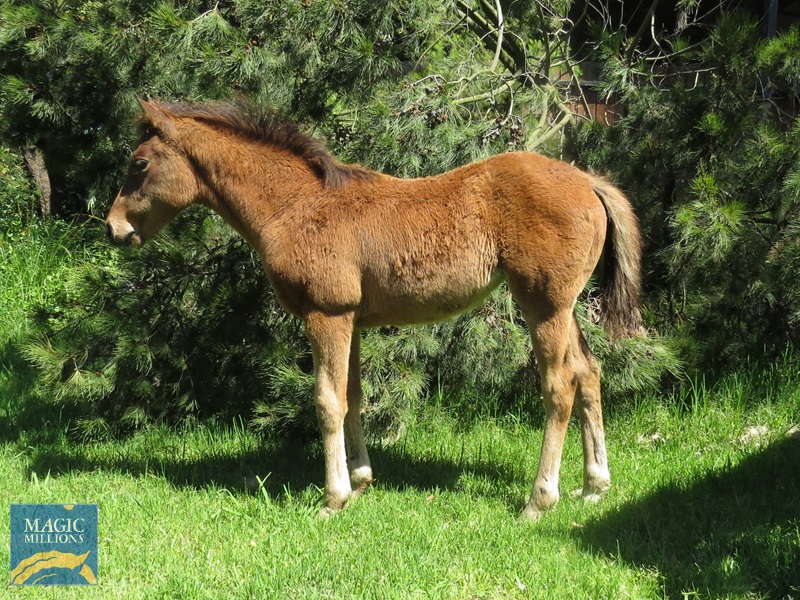 RDN 22 side.jpg - Image 2