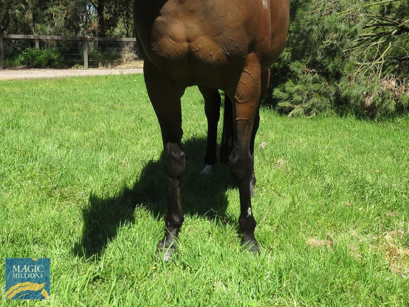 RDN Front.jpg - Image 3