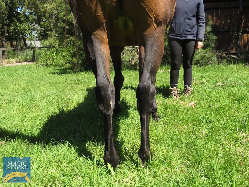 RDN Back.jpg - Image 4