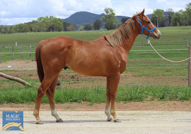 Max O' Max_061122.jpg - Image 1