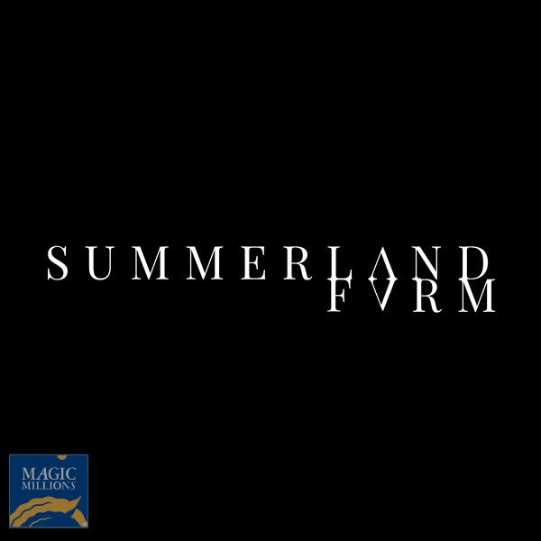 SF Logo.jpg - Image 2