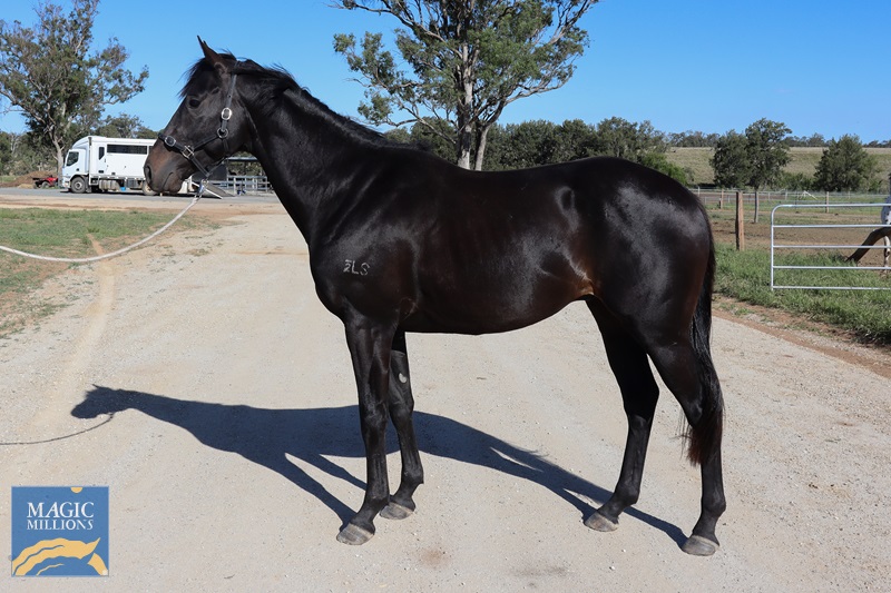 IMG_2357.jpg - Image 2