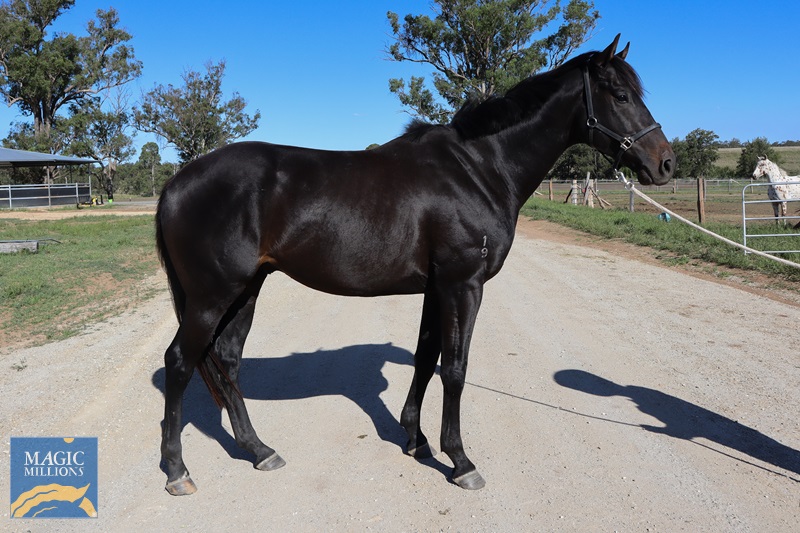 IMG_2365.jpg - Image 3