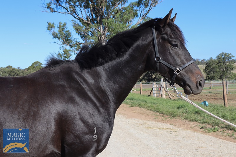 IMG_2367.jpg - Image 4