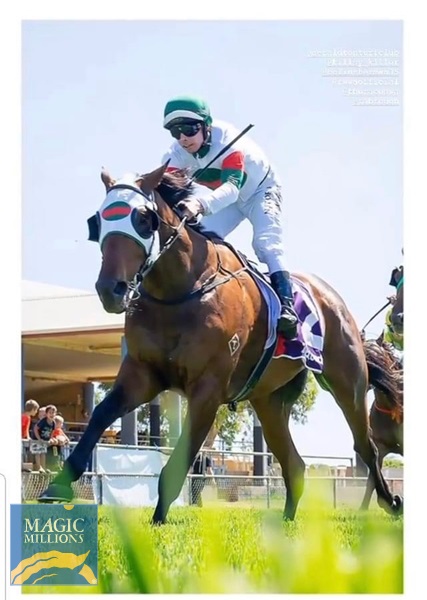 IMG_5854.jpg - Image 1