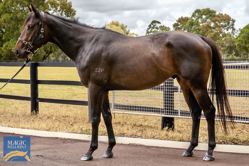 Abloh_24-11-2022__20.jpg - Image 1