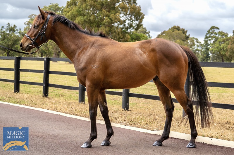 More Likely_24-11-2022__16.jpg - Image 1