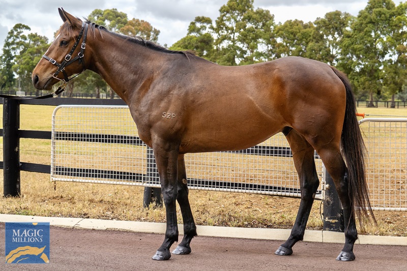 Patriotism_24-11-2022__22.jpg - Image 1