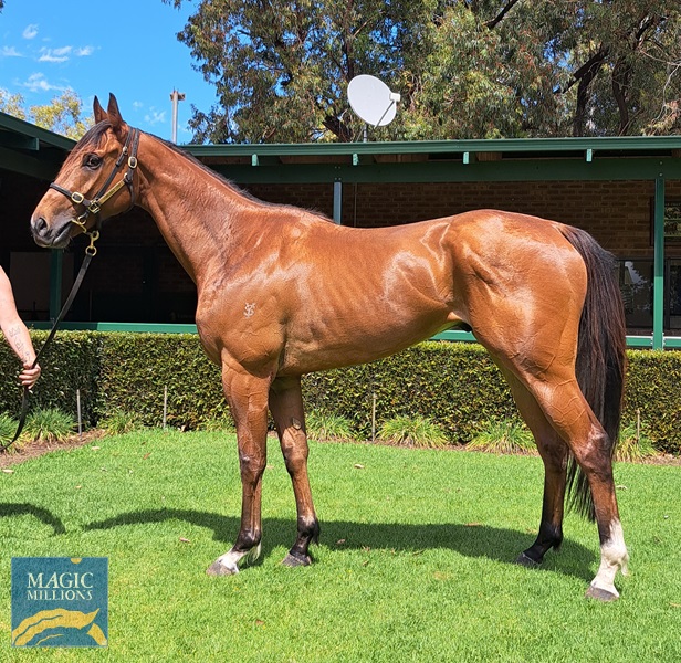 Love Drunk Baby 301122.jpg - Image 1