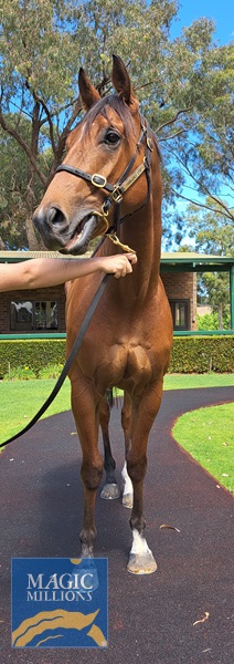 Love Drunk Baby Fronts 301122.jpg - Image 2