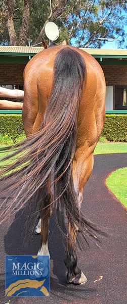 Love Drunk Baby Hinds 301122.jpg - Image 3