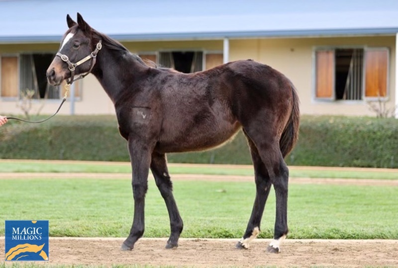 2948985.jpg - Image 1