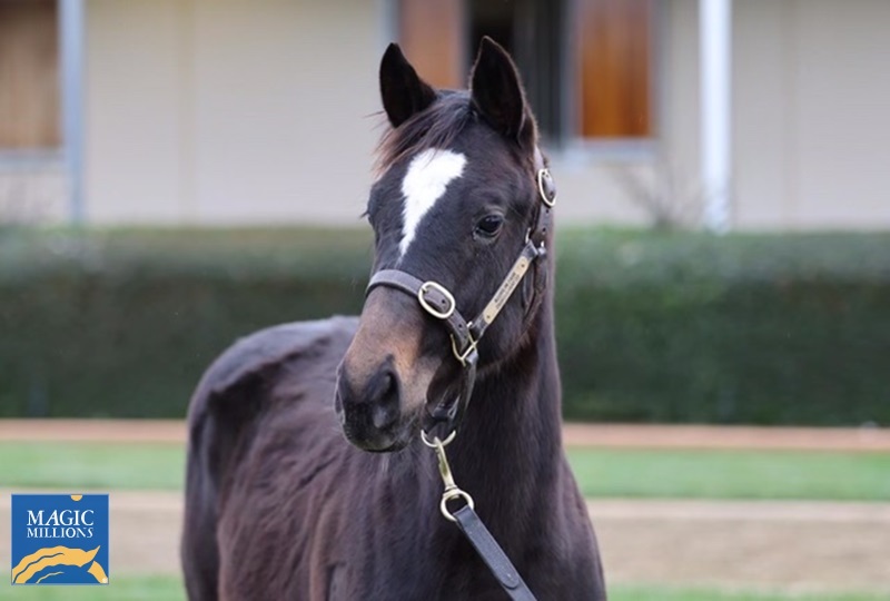 7590941.jpg - Image 2