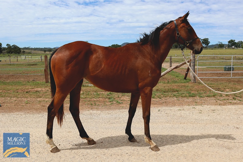 There's A Maru.jpg - Image 2