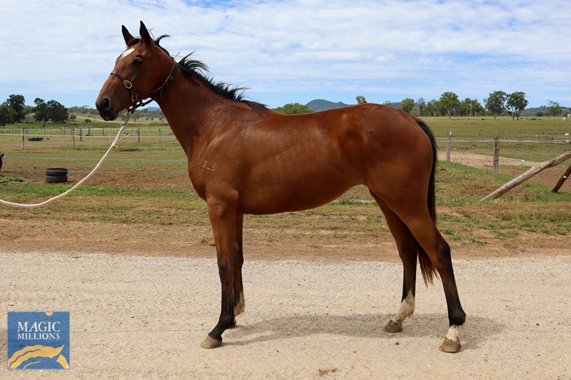 IMG_2823.jpg - Image 3