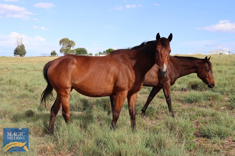 317267079_598646102027668_4672804413565717226_n.jpg - Image 2