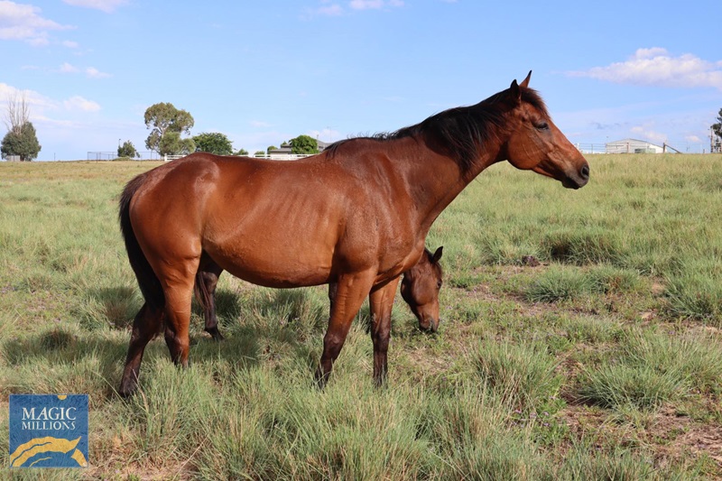 317519800_620488813100304_3529625970395679359_n.jpg - Image 3