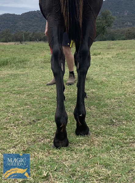 IMG-4081.jpg - Image 3