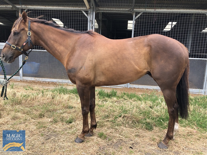 IMG_3332.jpg - Image 1