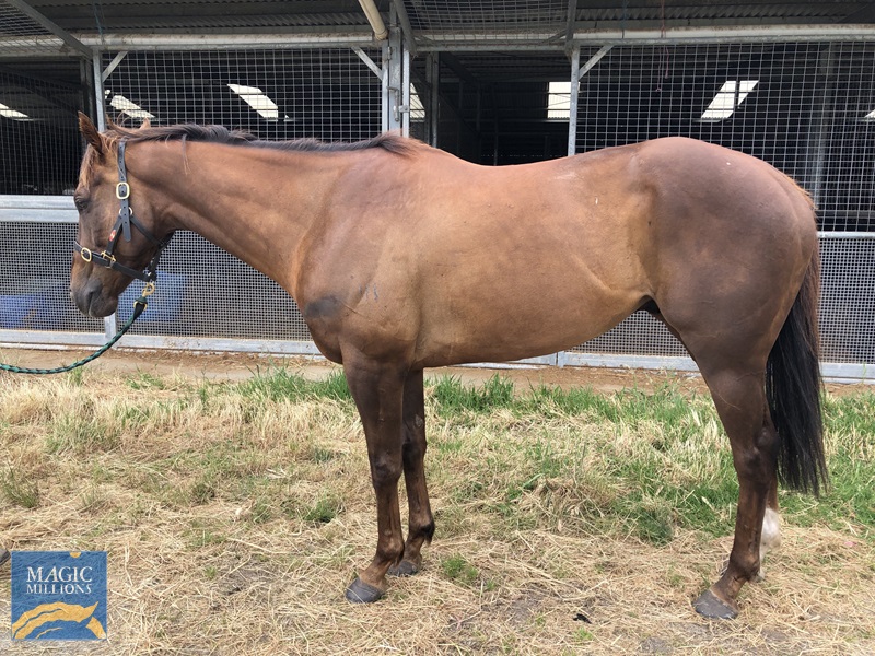 IMG_3335.jpg - Image 2