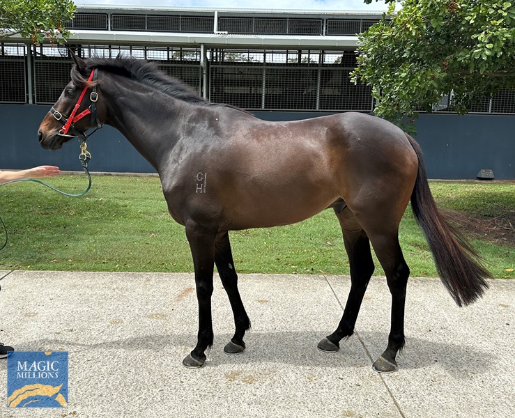 gunsen 1.jpg - Image 1