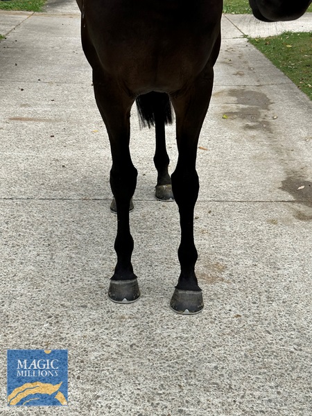 gunsen 2.jpg - Image 2