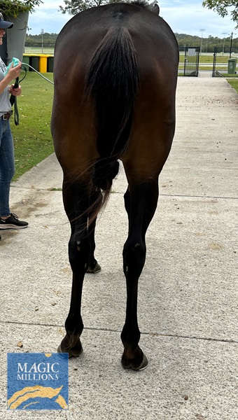 gunsen3.jpg - Image 3