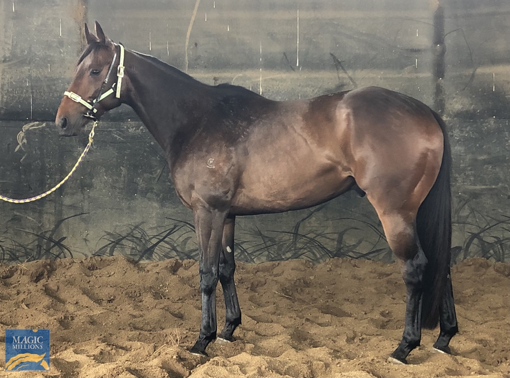 Whiskey Row (AUS) - Image 1