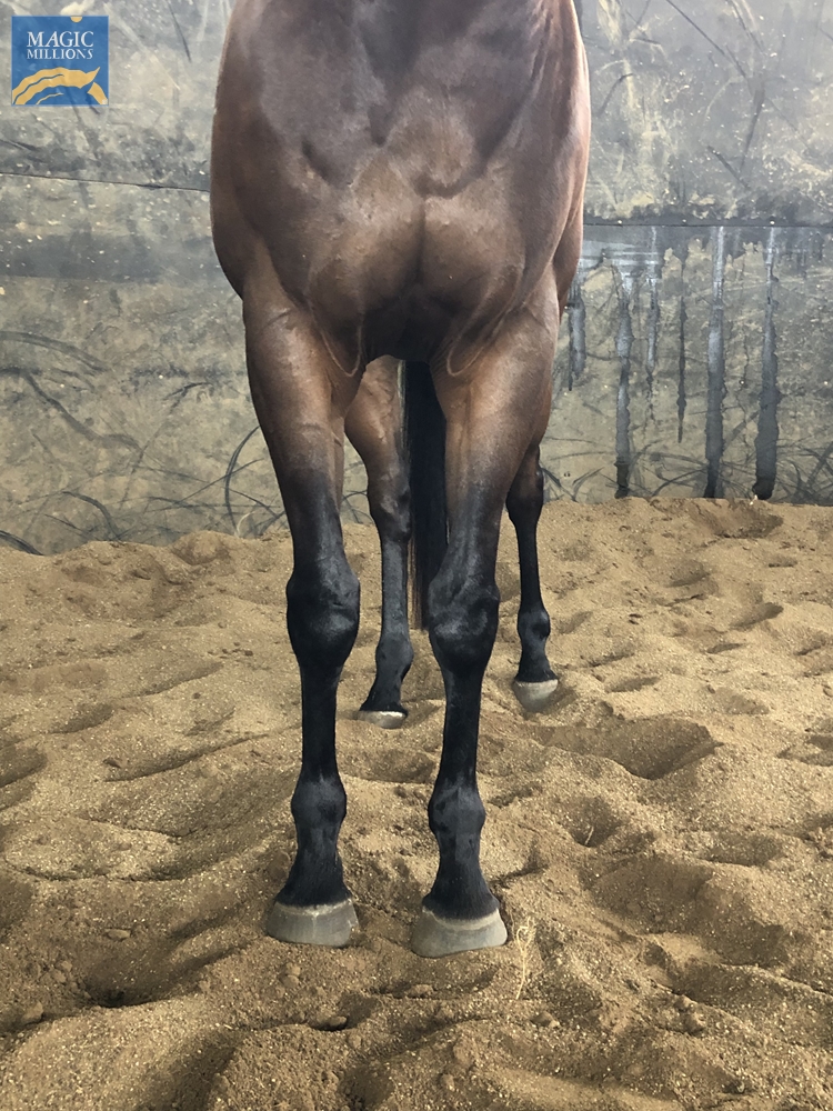 Whiskey Row (AUS) - Image 3