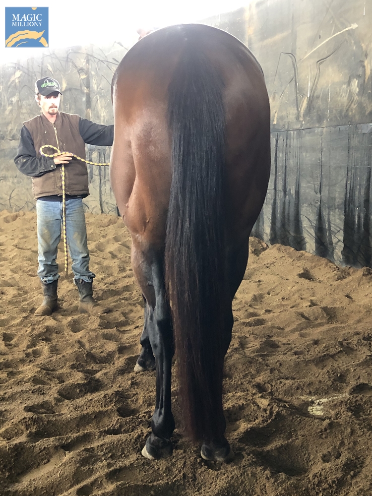 Whiskey Row (AUS) - Image 4