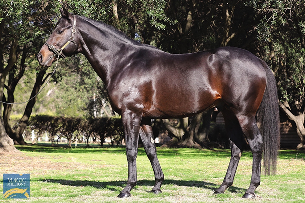 Last Typhoon (AUS) - Image 1