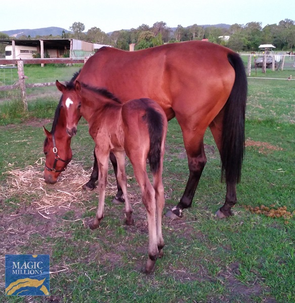 20221026_205254.jpg - Image 1