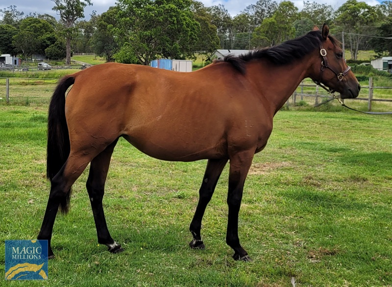 20221204_112848.jpg - Image 3