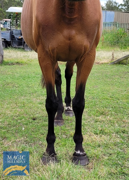 20221204_112209.jpg - Image 4