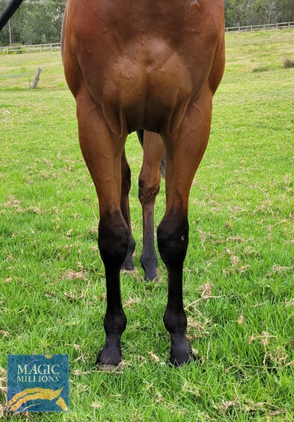 20221204_103648.jpg - Image 3