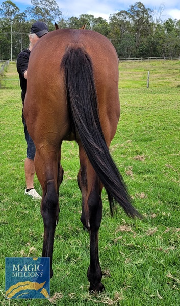 20221204_103743.jpg - Image 4