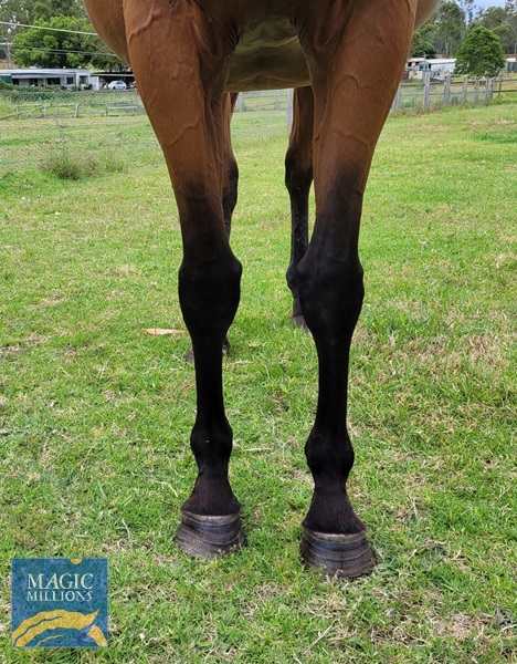 20221204_120615.jpg - Image 2