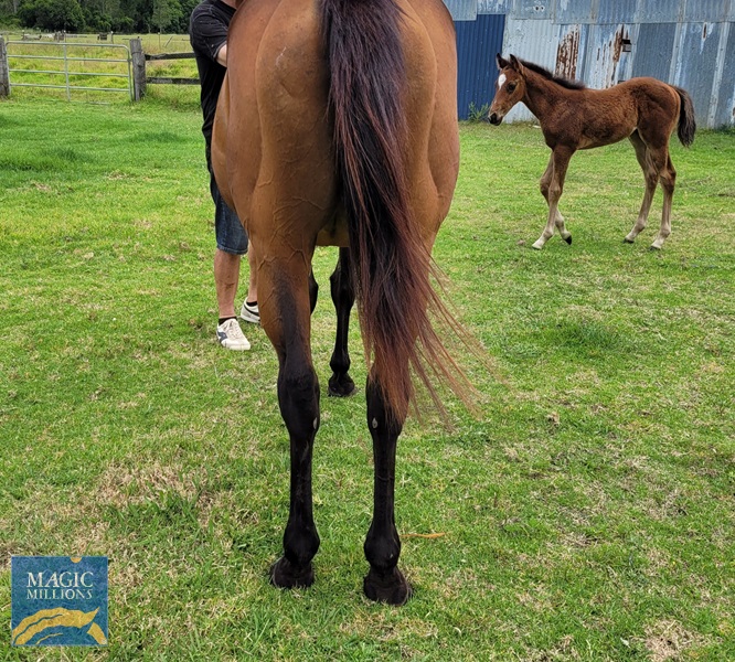 20221204_120636.jpg - Image 3