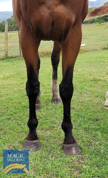 20221204_114447.jpg - Image 2