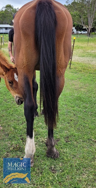 20221204_114539.jpg - Image 3