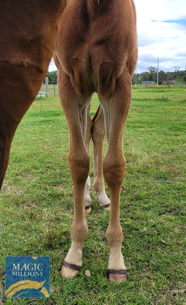 20221204_114612.jpg - Image 4