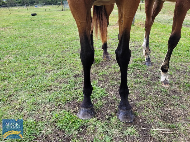 20221204_123825.jpg - Image 2