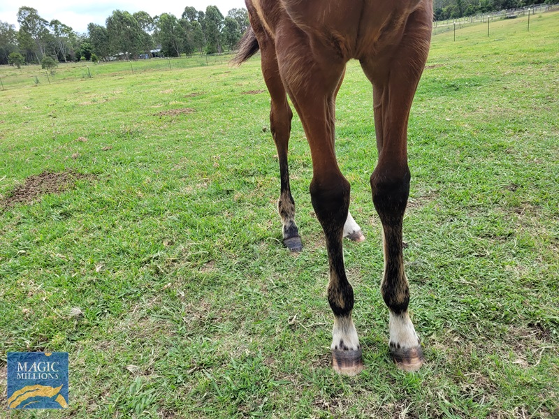 20221204_123931.jpg - Image 3